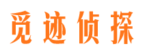 新民市私家侦探公司